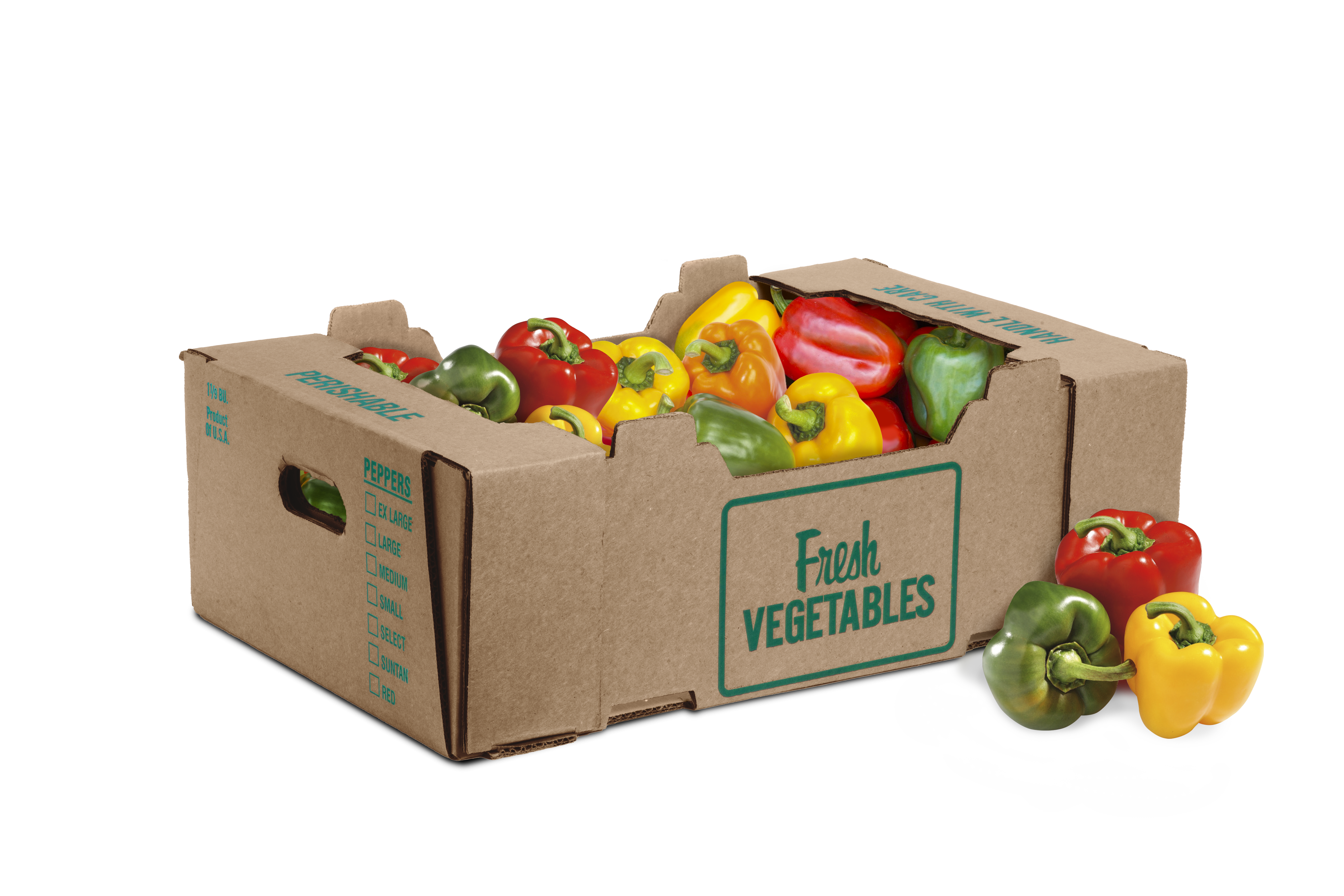 ../png450/CG-850K.png-1