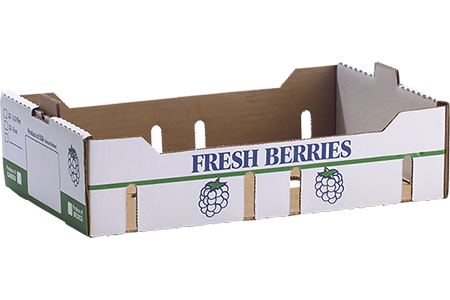 CG-9100 | Stock, Fresh Berry 1/2 Pt./6 oz & 1 pt Clamshell Mst (825) CG-9100.png