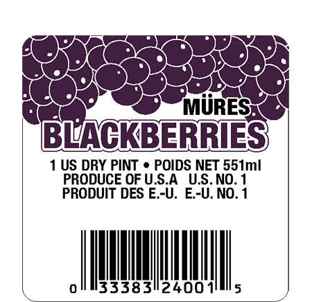 LBL-0700 | STOCK Blackberry, 1 Pint (2.25 x 2.25) (10,000) LBL-0700.png